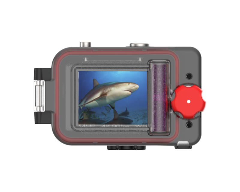 reefmaster sealife camera rm 4k